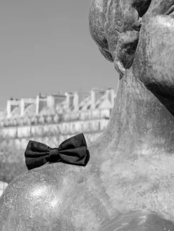 Silbon Accesorios·Corbatas, Pajaritas Y Pañuelos-Pajarita terciopelo negra Negro