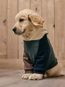 Silbon Mascotas|Hogar·Mascotas-Sudadera mascotas hoodie multicolor Verde